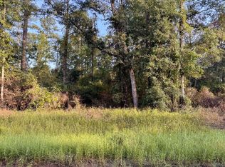 LOT 11 NW Alapaha Woods Way, Jasper, FL 32052