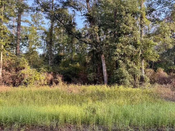 LOT 11 NW Alapaha Woods Way, Jasper, FL 32052