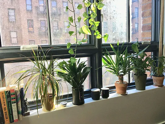 Rented by Manhattan Management LLC | media 26