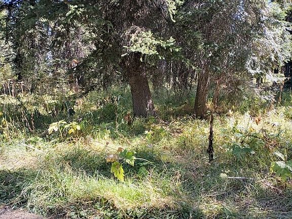 Pristine wooded environment provided for a secluding setting for a future home or cabin building site.