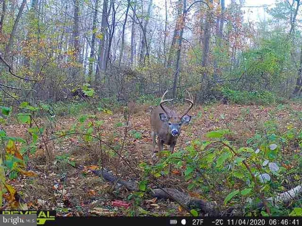 3696 Love Rd, Darlington, MD 21034