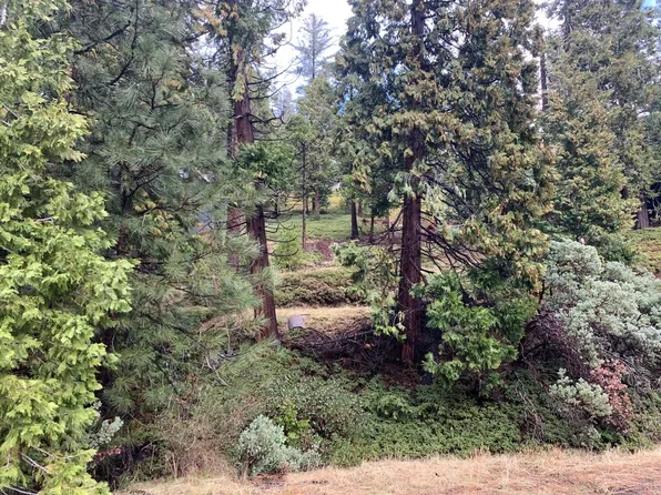 1029 Greensboro Way, Arnold, CA 95223