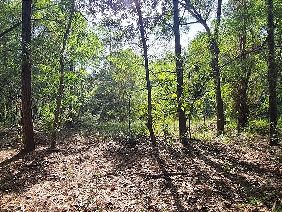 3rd image of 2540 N Donovan Ave