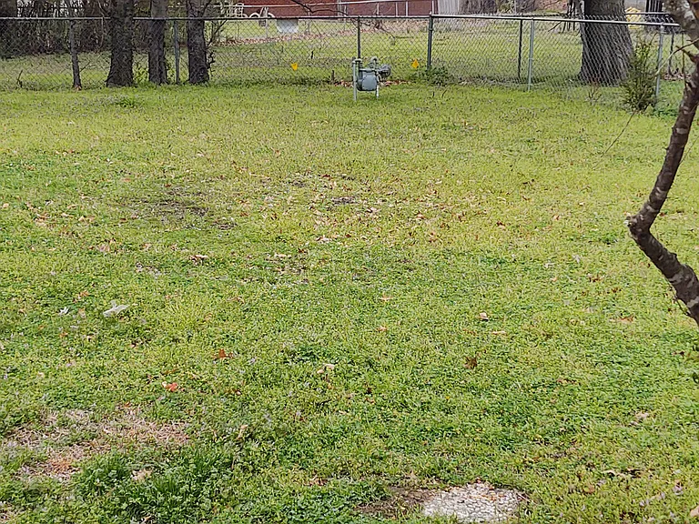 Large fenced backyard