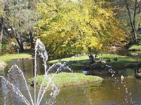 On 38 acres of beauty.