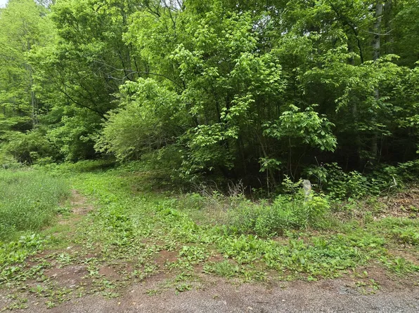 0 Red Ankle Rd, Sweetwater, TN 37874