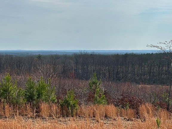 2nd image of 604 Meadow Creek Rd