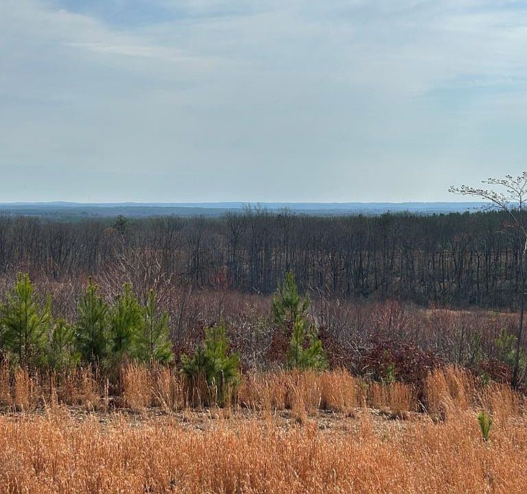 2nd image of 604 Meadow Creek Rd #0