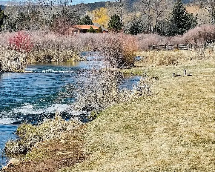 Highway 82 — Photo 24