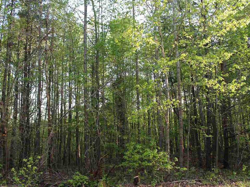 2nd image of 1508 Rainbow Cir #43