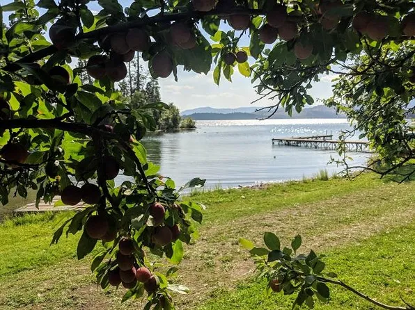 41322 Mello Cove Ln, Dayton, MT 59914