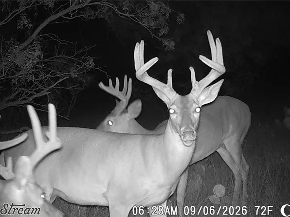 1234 Rr 11 #11, Millersview, TX 76862