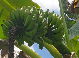 Kolea St, Mountain View, HI 96771