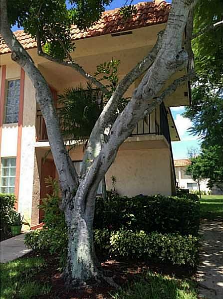 1st image of 369 Lakeview Dr APT 206