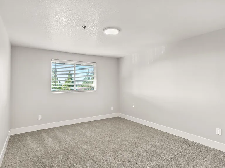 Veri 1319 — Photo 137