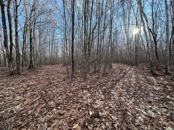 Lot 7-16 Beechwood Avenue N, Hudson, ME 04449