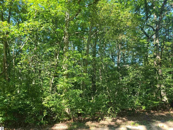 9 Elizabeth St, Fife Lake, MI 49633