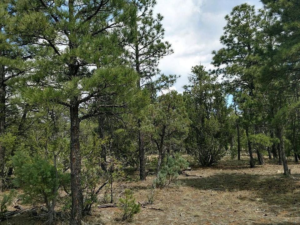 1st image of 6541 Whispering Pine Dr