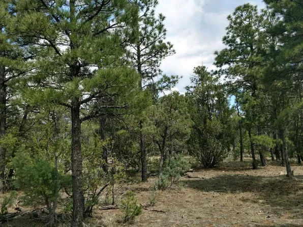 6541 Whispering Pine Dr, Happy Jack, AZ 86024