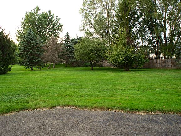 Backyard from driveway