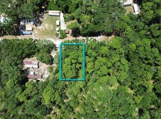 SE 86th Ln Lot 6, Ocklawaha, FL 32179