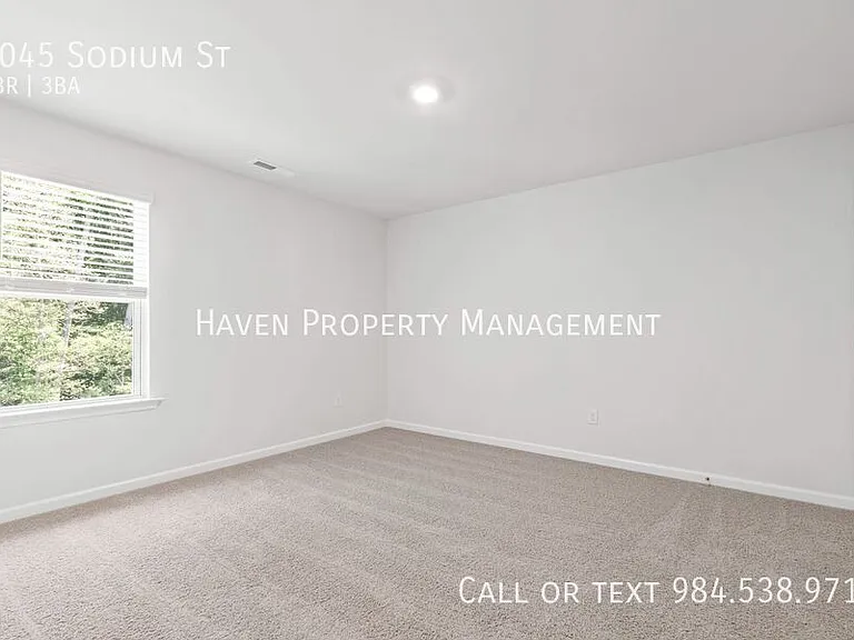 6045 Sodium St — Photo 26