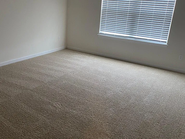 12000 Sweet Almond Ln — Photo 13
