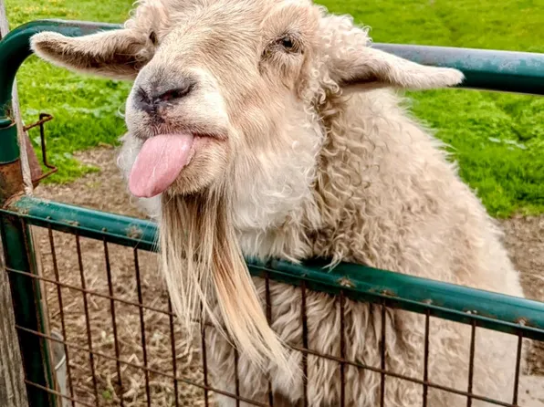 0 San Lucas Ave, Moss Beach, CA 94038