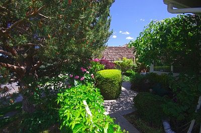 Front yard landscape