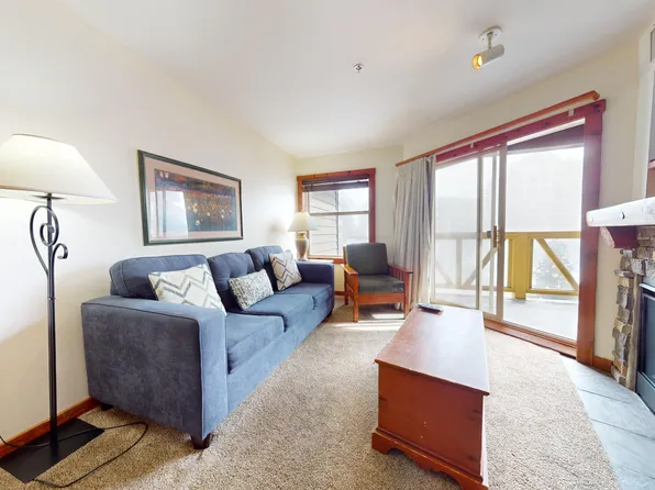 319 Rimfire Ldg, Snowshoe, WV 26209