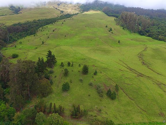 4th image of Kekaulike Ave