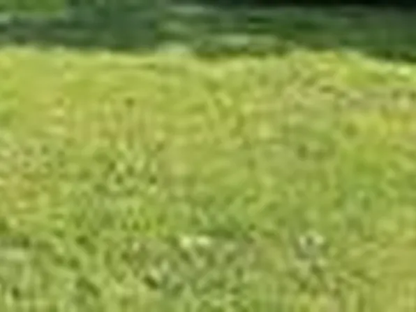 66 Russell Dr Lot 9, Hustonville, KY 40437