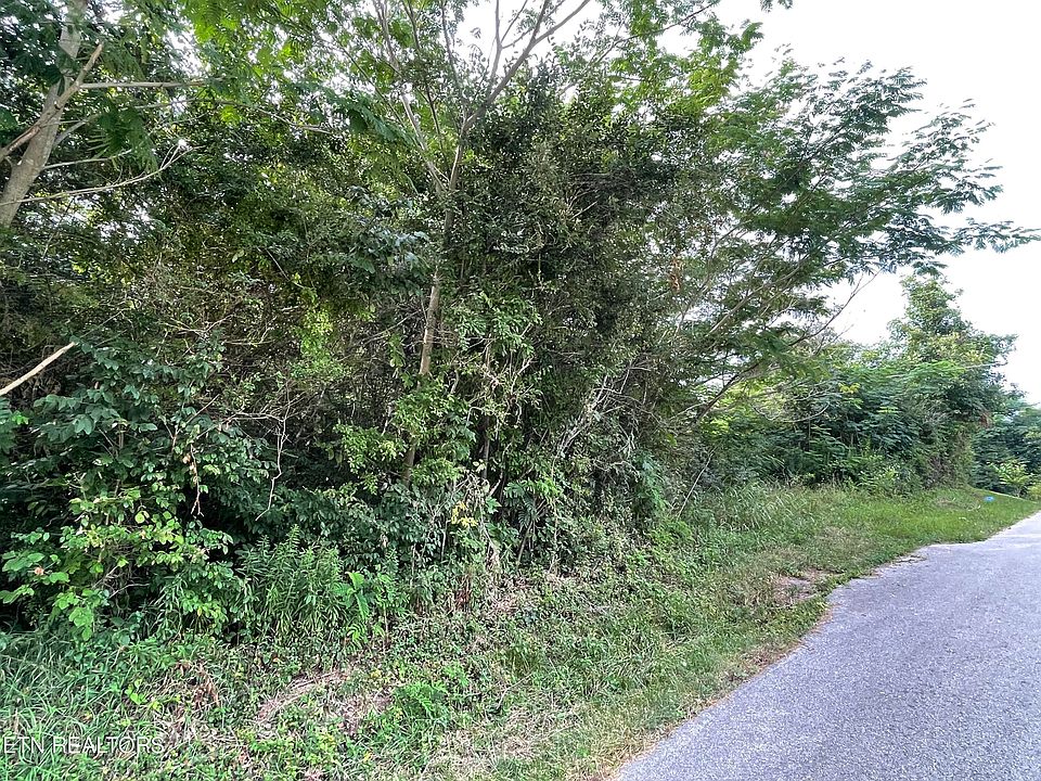 2nd image of LOT 7 Sawmill Cir