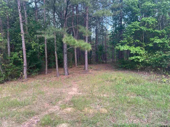 TRACT 2 County Road 477 W, Henderson, TX 75654