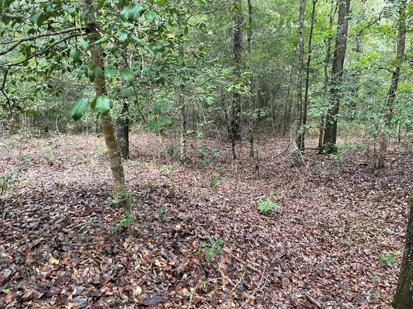 0 WILD TURKEY Drive, Gibson, GA 30810