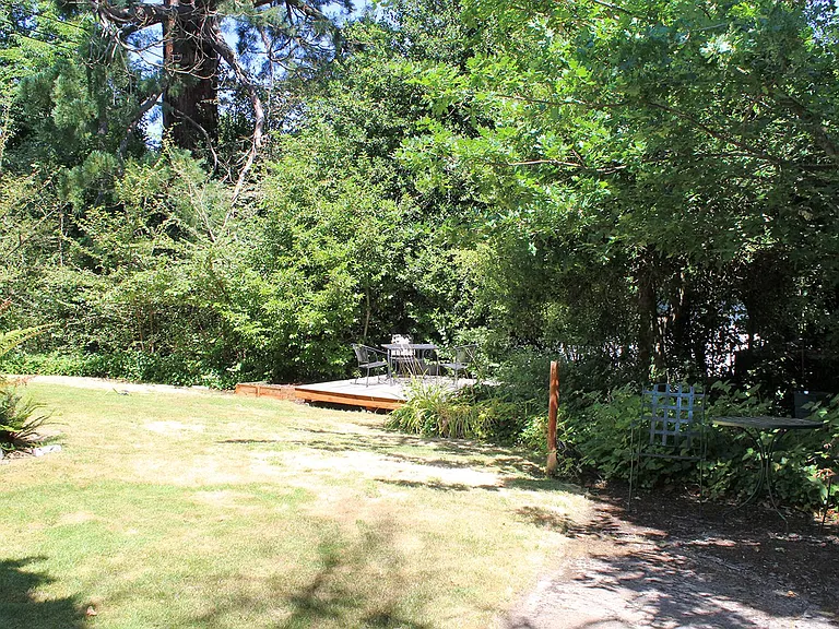 CarTr02 — Photo 24