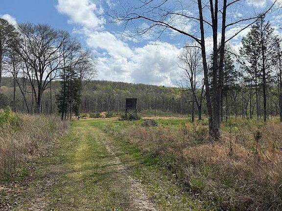 3rd image of Calico Rd