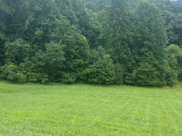 LOT-22C Ash Branch Cir, Hayesville, NC 28904