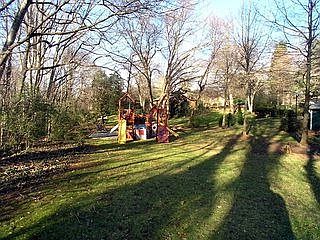 Wooded Back Yard