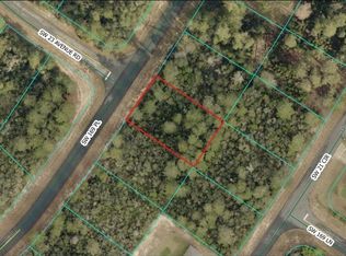 LOT 17 SW 169th Pl LOT 17, Ocala, FL 34473