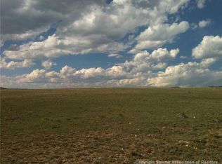 105 Rocky Mountain Ct, Hartsel, CO 80449