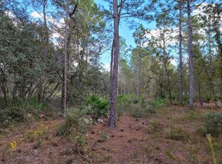 LOT 21 Hardeman Jct LOT 21, Brooksville, FL 34614