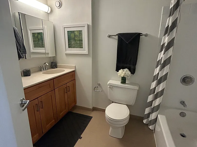 800 N Dearborn St #2310 — Photo 10