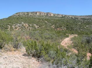 0 State Highway 208, Robert Lee, TX 76945