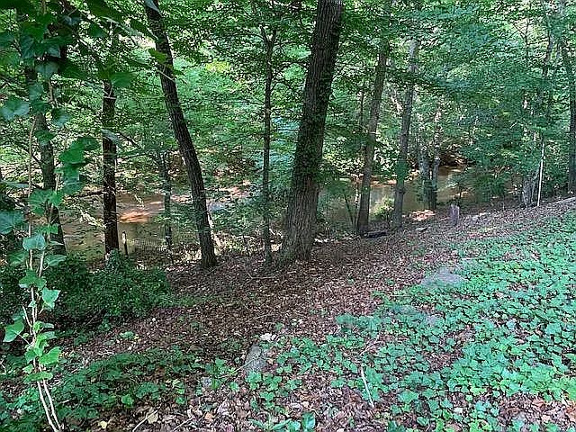 1050 sourwood back yard