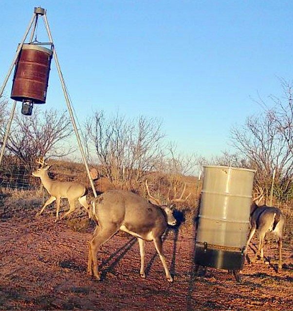 1st image of Prairie