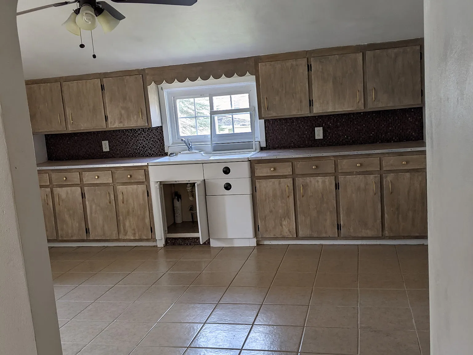 1 bed, $800 — Photo 4