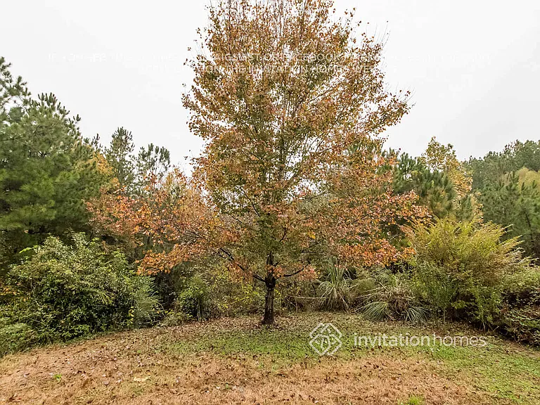 190 Silver Fox Trl — Photo 20