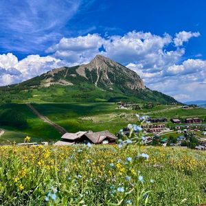 20 Buttercup Lane, Mount Crested Butte, CO, 81225