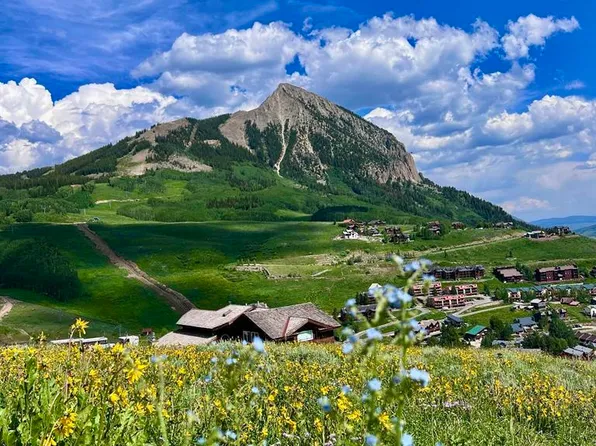 20 Buttercup Lane, Mt. Crested Butte, CO 81225